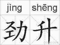 劲升的拼音