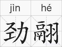 劲翮的拼音