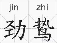 劲鸷的拼音