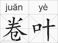 卷叶的拼音