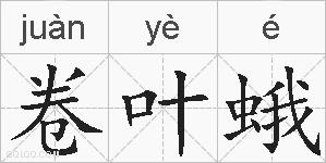 卷叶蛾的拼音