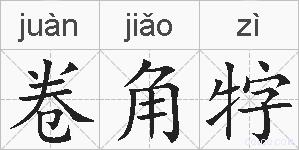 卷角牸的拼音