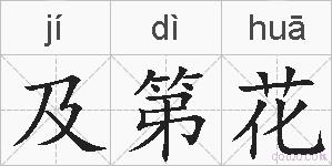 及第花的拼音