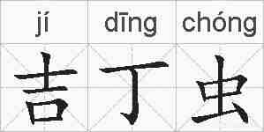 吉丁虫的拼音