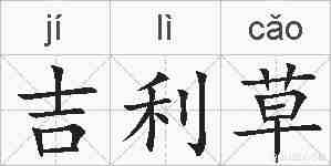 吉利草的拼音