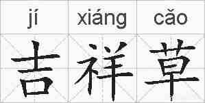 吉祥草的拼音