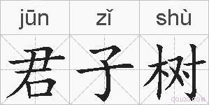 君子树的拼音