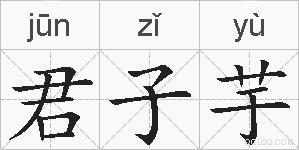 君子芋的拼音