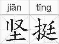 坚挺的拼音