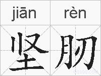 坚肕的拼音