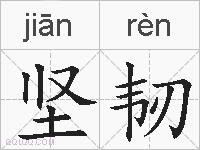 坚韧的拼音