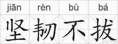 坚韧不拔的拼音