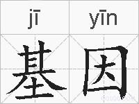 基因的拼音