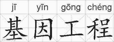 基因工程的拼音