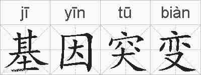 基因突变的拼音