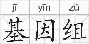 基因组的拼音