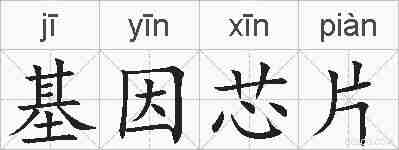 基因芯片的拼音