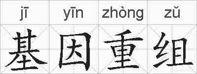 基因重组的拼音