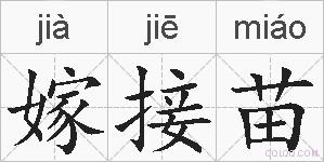 嫁接苗的拼音