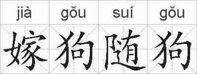 嫁狗随狗的拼音