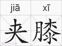 夹膝的拼音