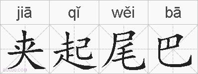 夹起尾巴的拼音