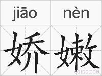 娇嫩的拼音