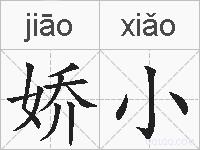 娇小的拼音