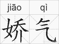 娇气的拼音