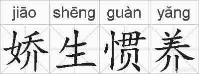 娇生惯养的拼音