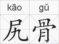 尻骨的拼音