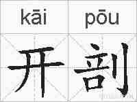 开剖的拼音