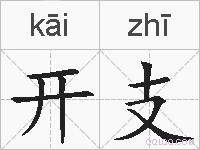 开支的拼音