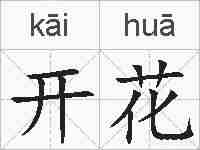 开花的拼音