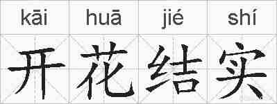 开花结实的拼音