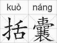 括囊的拼音