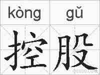 控股的拼音