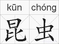 昆虫的拼音