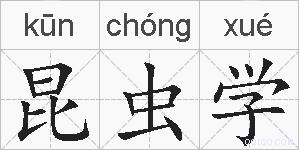 昆虫学的拼音