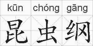 昆虫纲的拼音