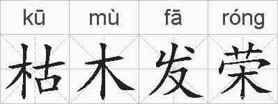枯木发荣的拼音