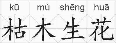 枯木生花的拼音