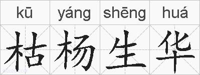 枯杨生华的拼音