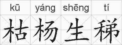 枯杨生稊的拼音