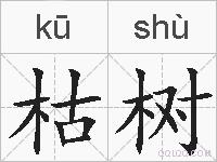 枯树的拼音