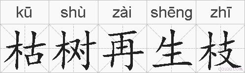 枯树再生枝的拼音