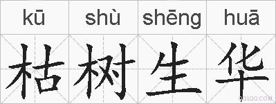 枯树生华的拼音