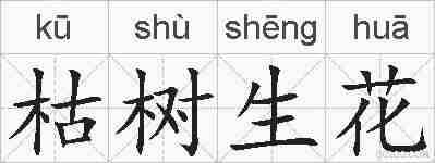 枯树生花的拼音