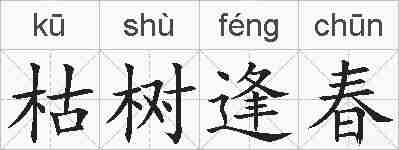 枯树逢春的拼音