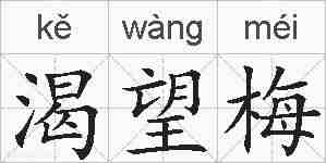 渴望梅的拼音